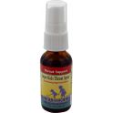HERBS FOR KIDS Super Kids Throat Spray Peppermint - 1 fl oz