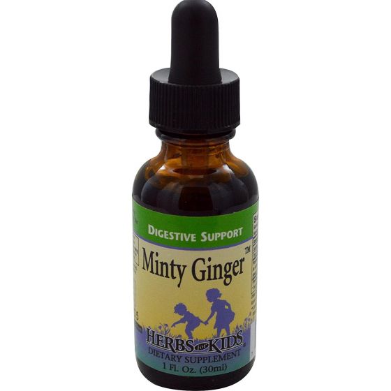 Herbs For Kids Minty Ginger Blend Alcohol-Free 1 fl oz